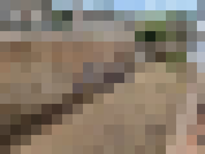  / #14
