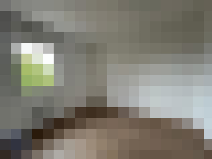  / #8