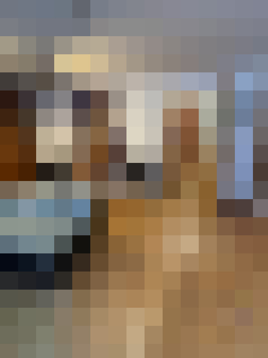  / #14