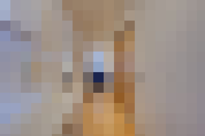  / #6