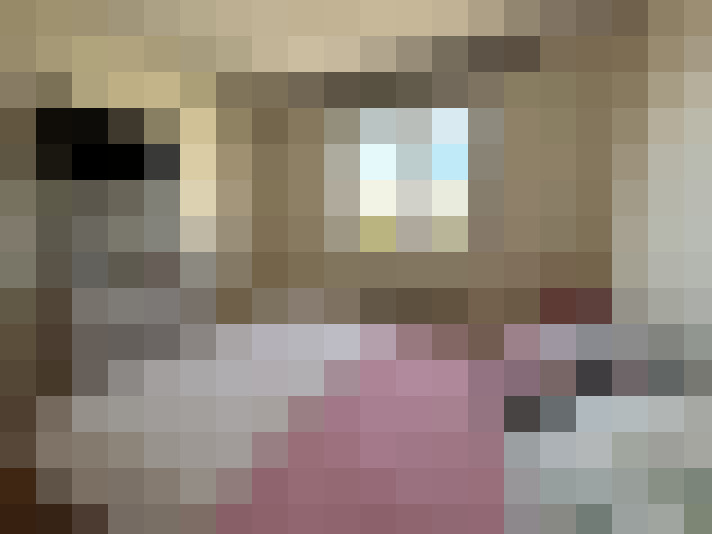  / #15