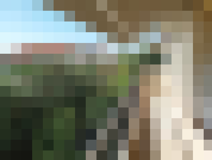  / #7