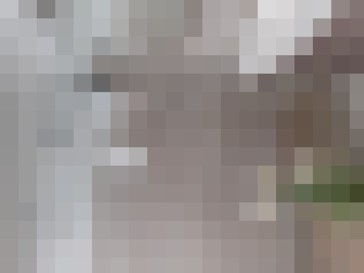  / #13