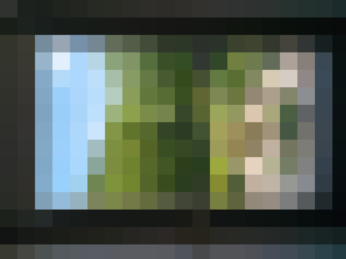 / #7