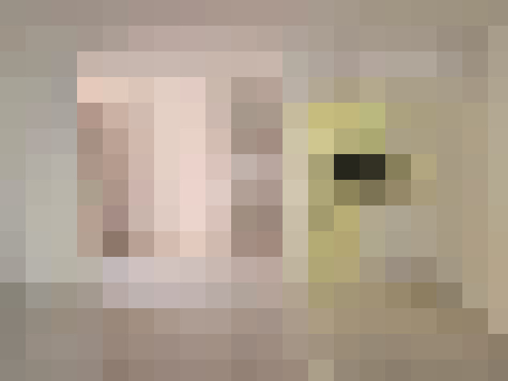  / #5