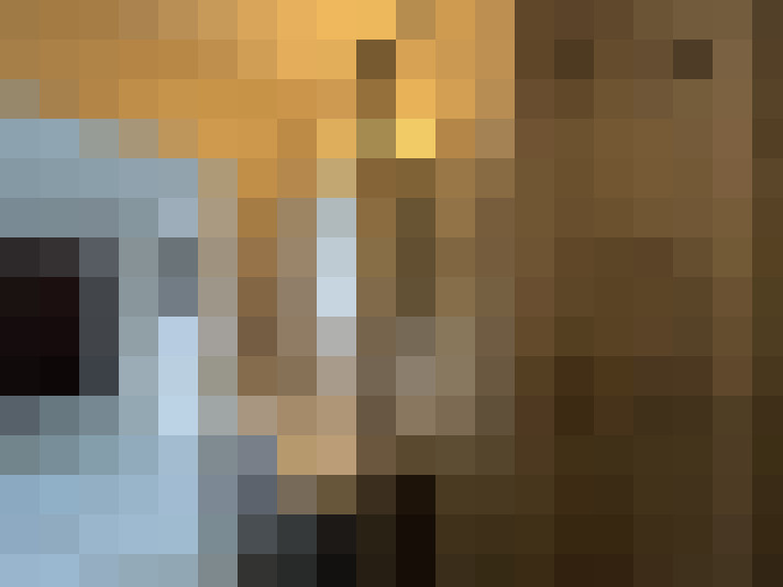  / #15