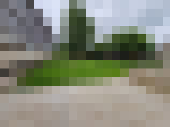  / #14