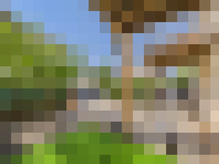  / #18