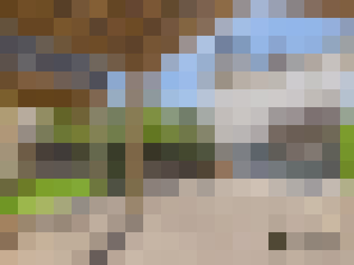  / #12