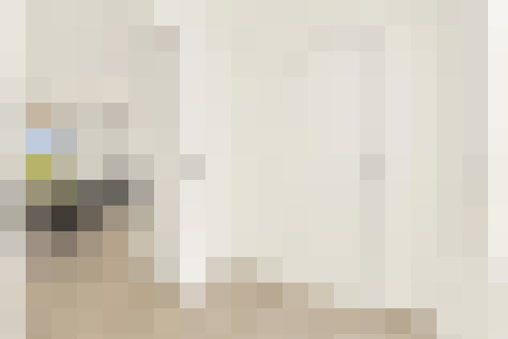  / #11