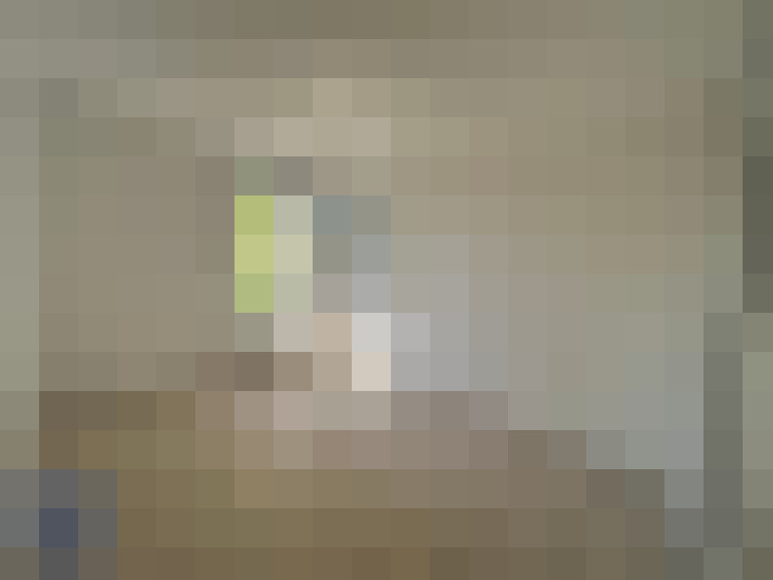  / #6