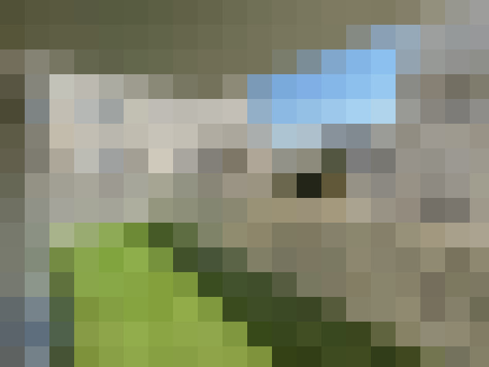  / #7