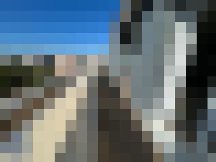  / #8