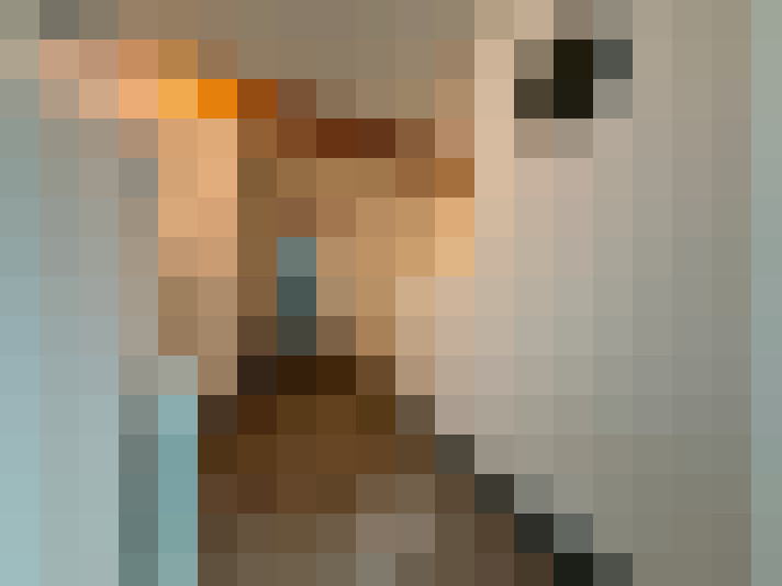  / #15