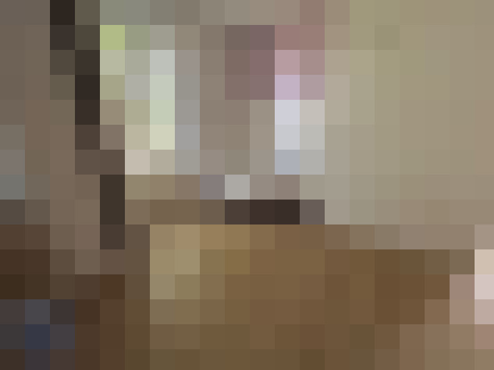  / #11