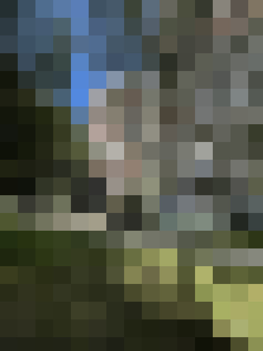  / #16