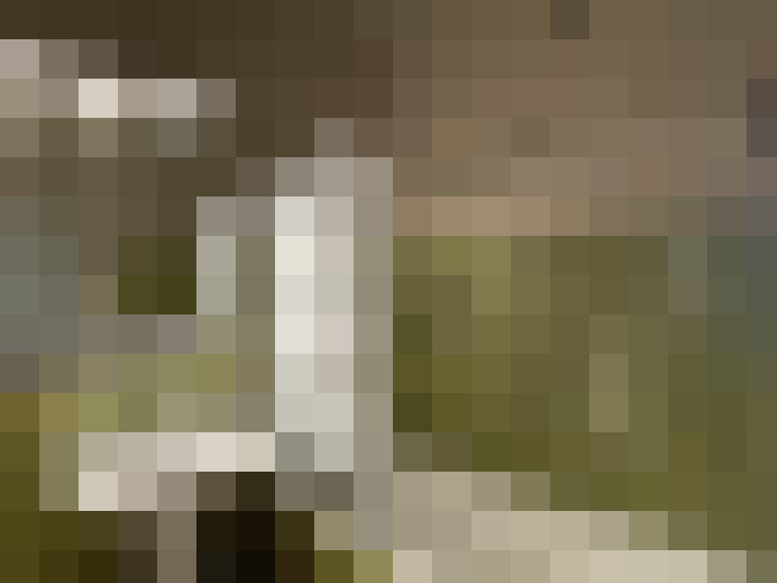  / #13