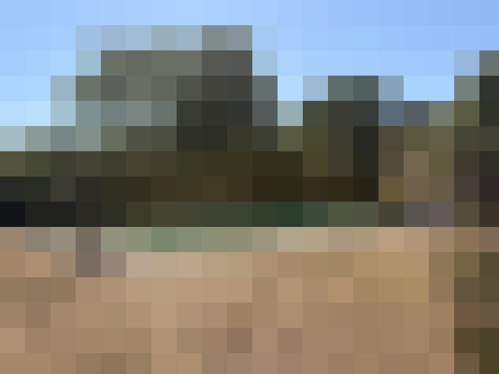  / #16