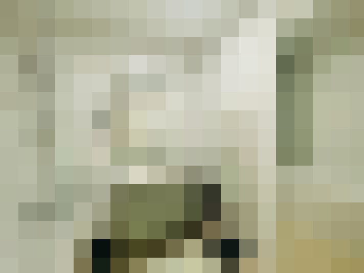  / #22
