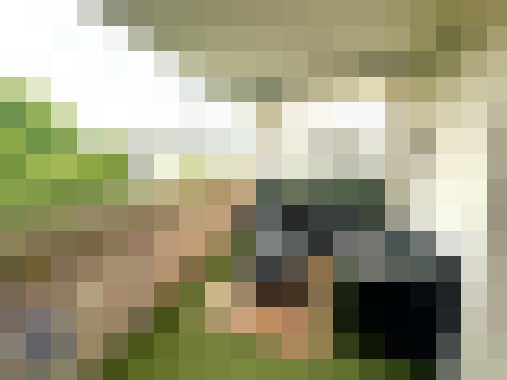  / #8