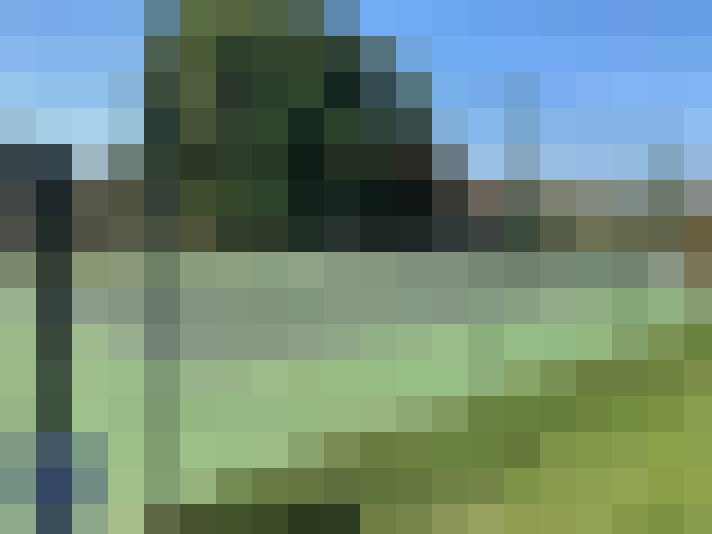  / #7