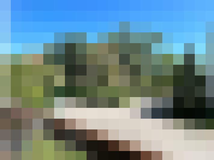  / #13