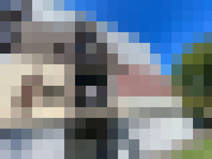  / #14