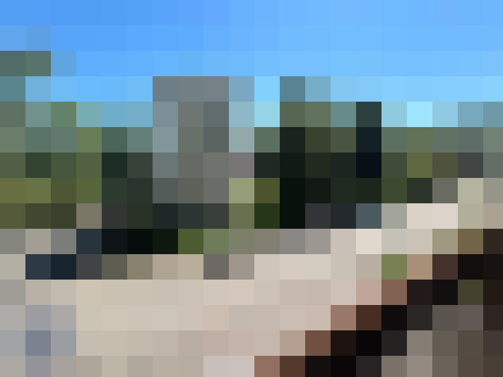  / #12