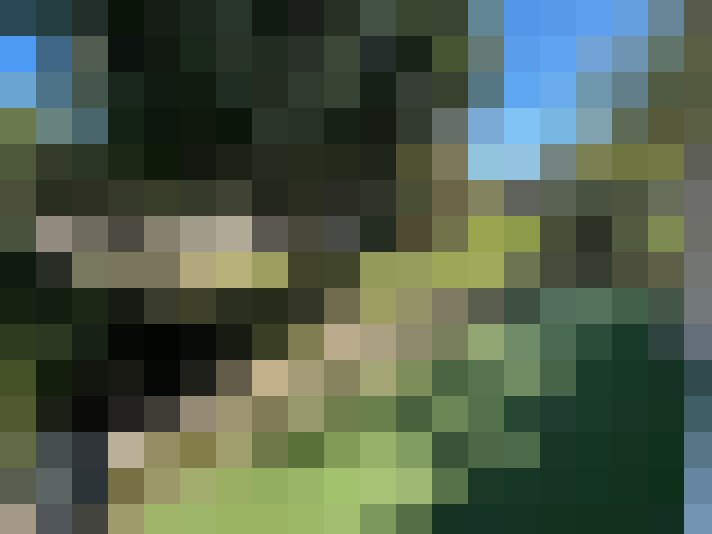  / #8