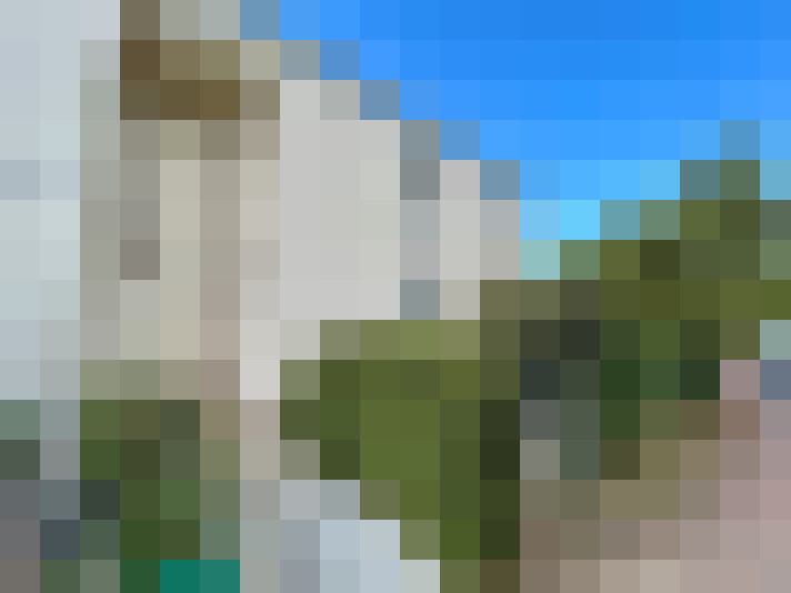  / #11
