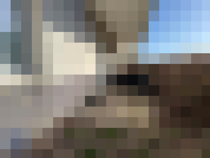  / #7