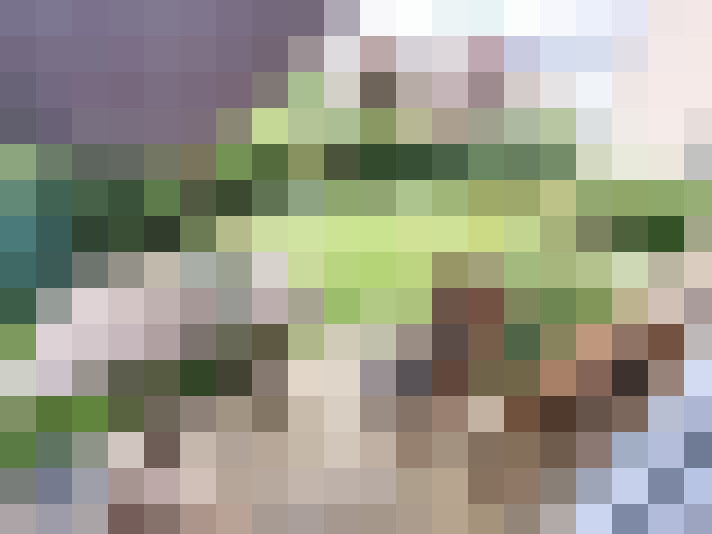  / #9