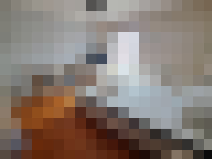  / #7
