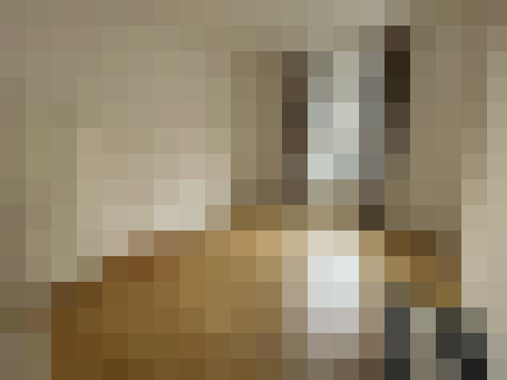  / #15