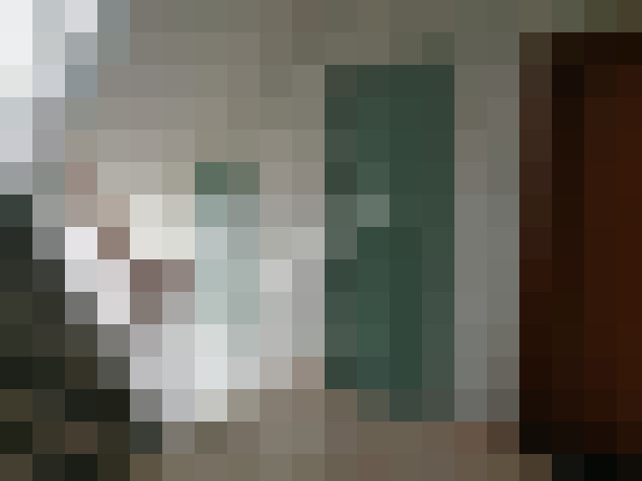  / #15