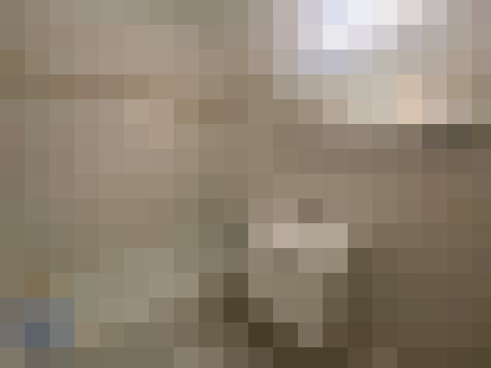  / #8