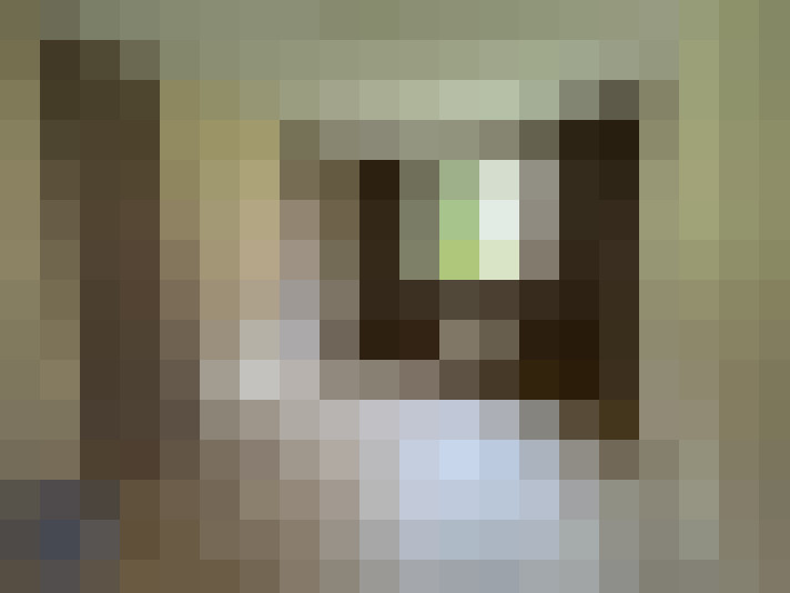  / #7