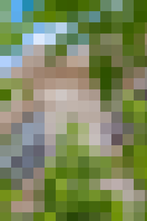  / #12