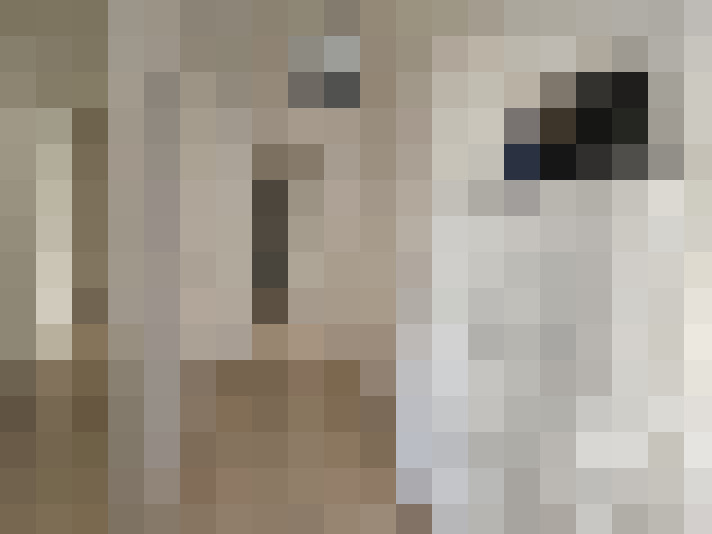  / #14
