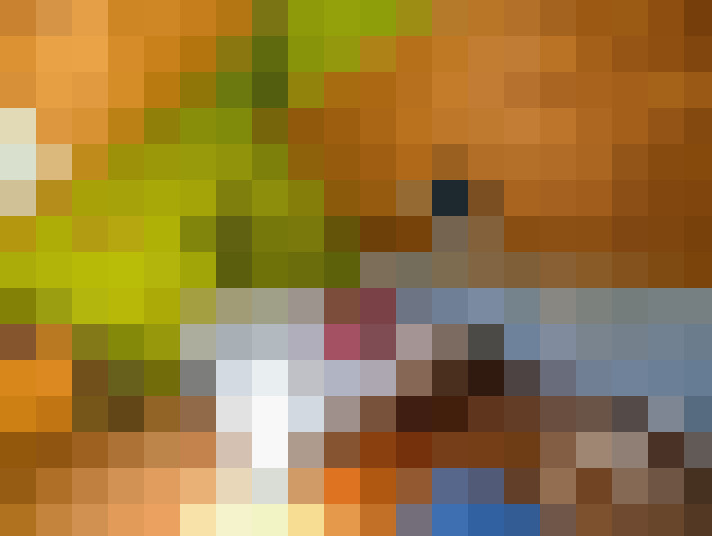  / #13