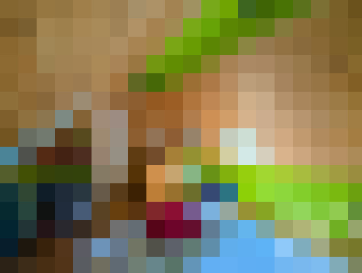  / #14