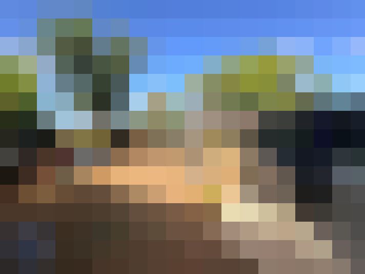  / #8