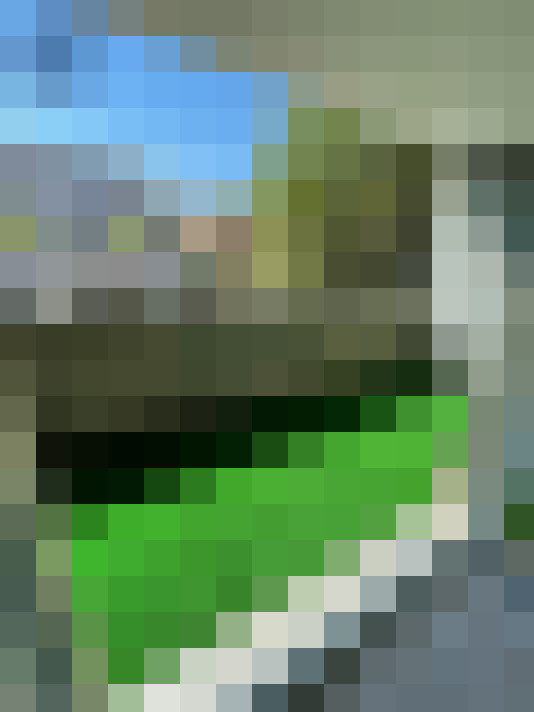 / #6