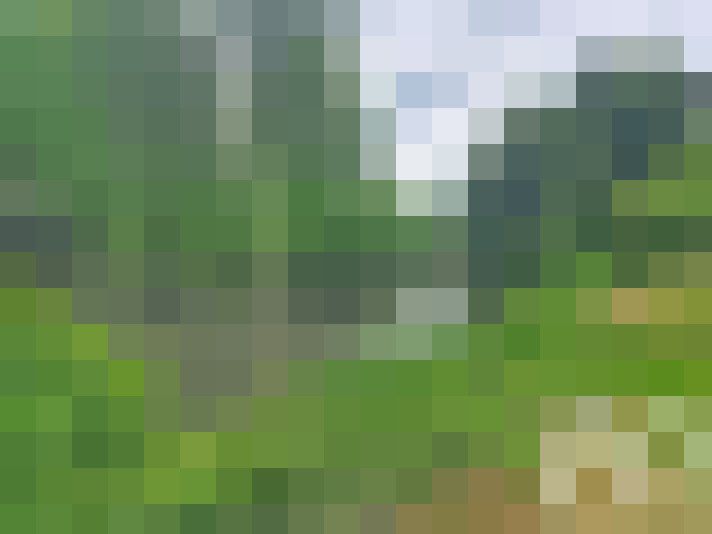 / #14