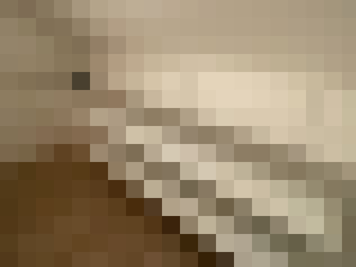  / #5