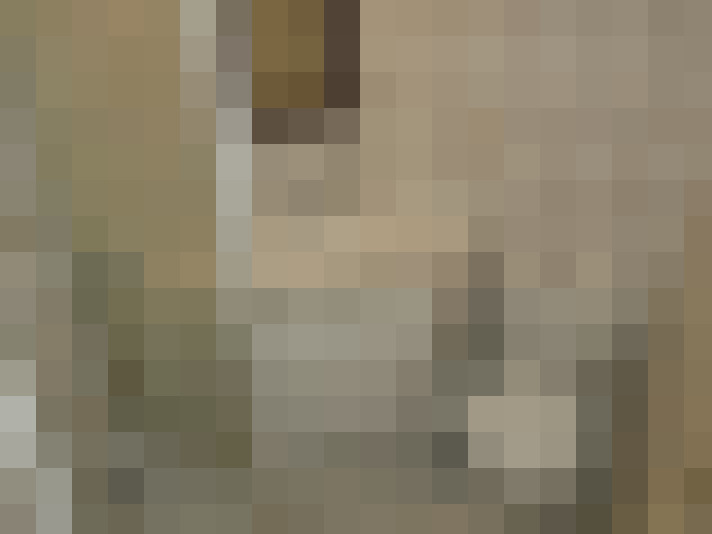  / #11