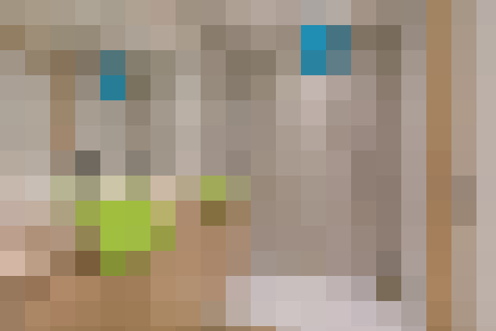  / #16