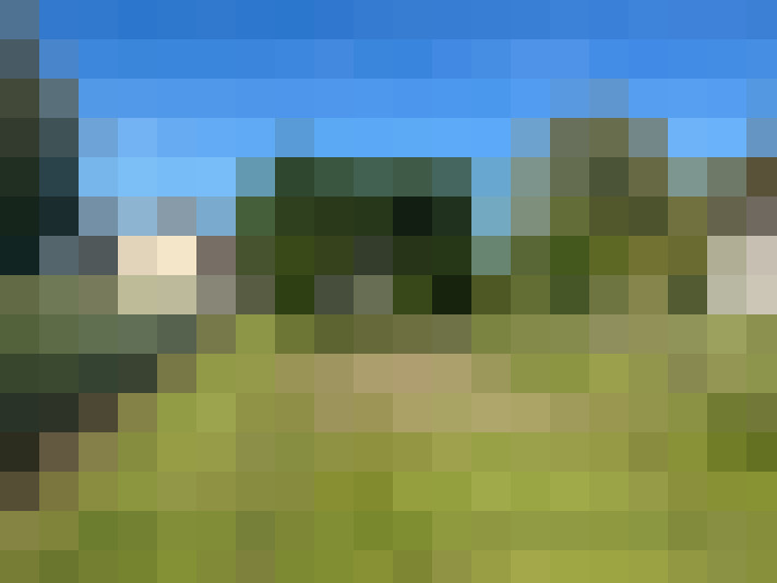  / #11