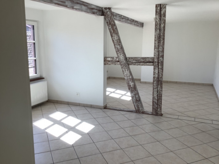 Voir la photo 1/7 du type apartment à Obernai