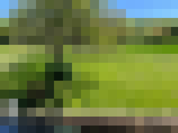 / #16